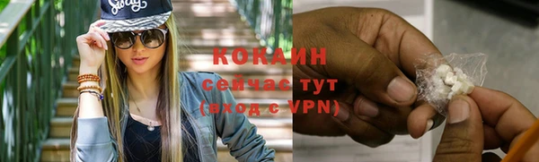 винт Абаза