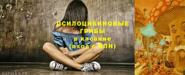мяу мяу мука Алзамай