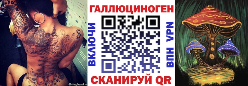 Псилоцибиновые грибы Cubensis  Ярославль 